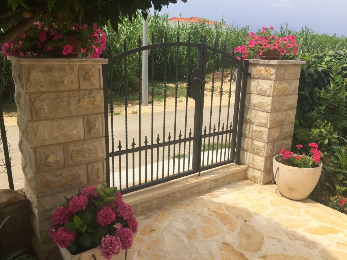 Apartments Lolo Privlaka  Εξωτερικό φωτογραφία